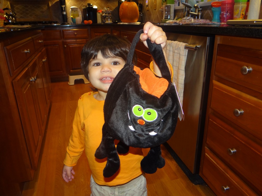 One Step Ahead trick or treat bags