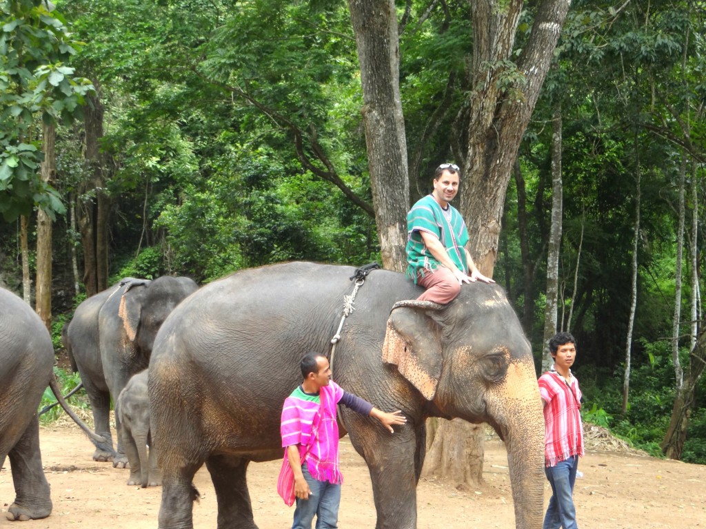 Patara Elephant Farm