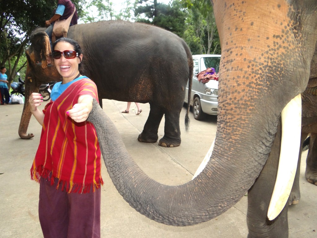 Patara Elephant Farm