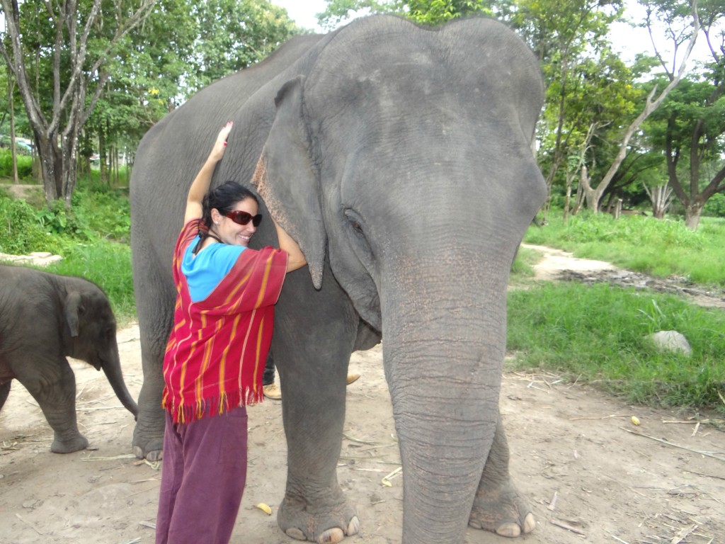 Patara Elephant Farm