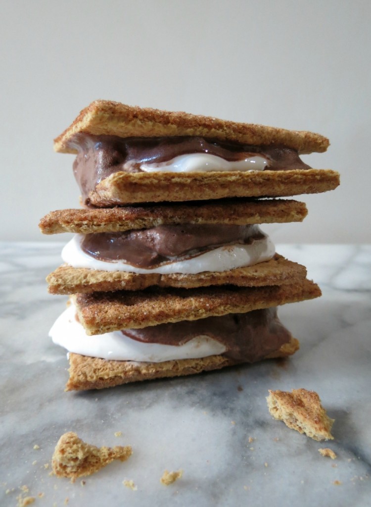 Smore_~e_Cream_Sandwich_002a