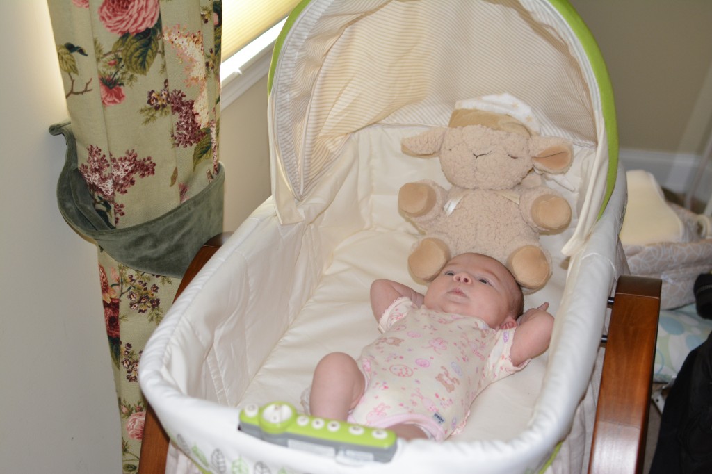 Summer  Infant Bassinet