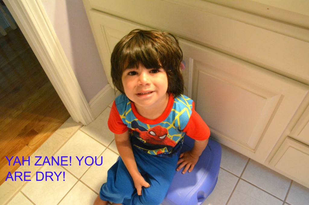 potty training tips