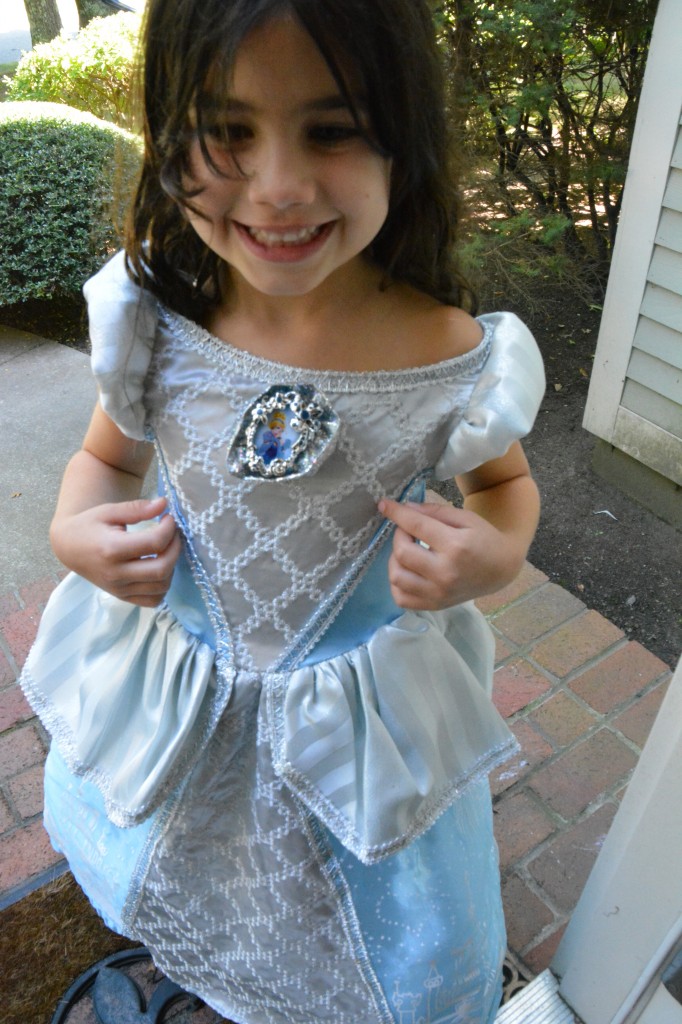 Cinderella Dress