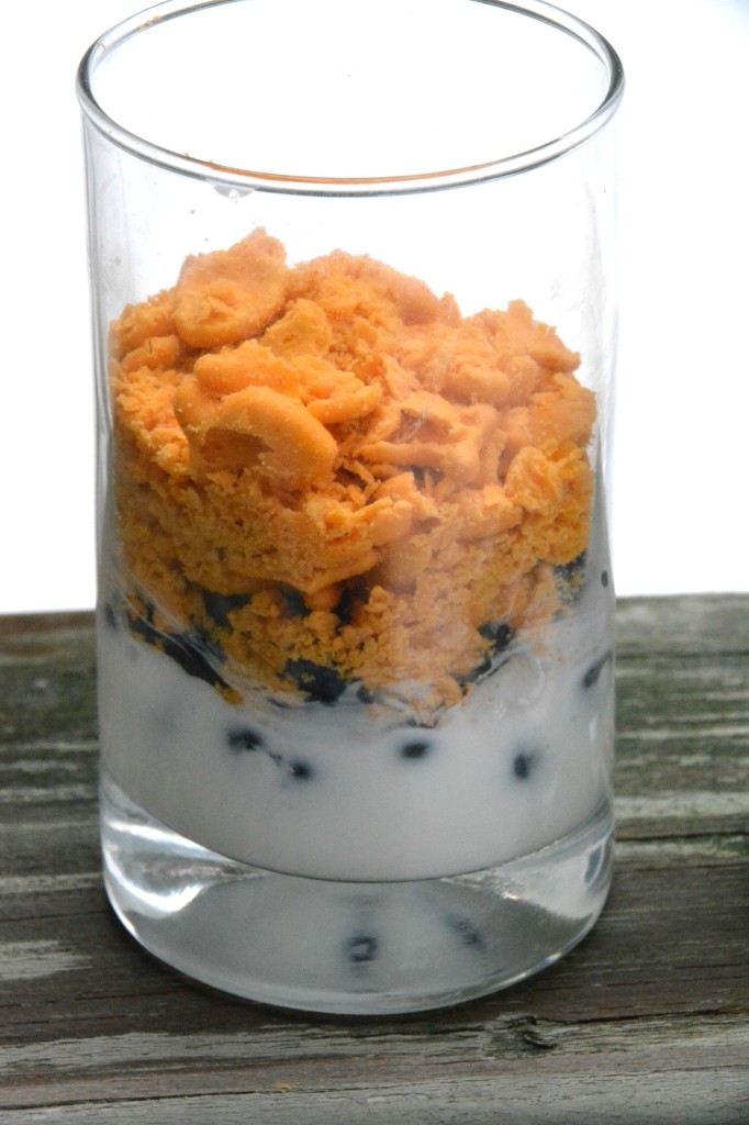 Goldfish Parfait