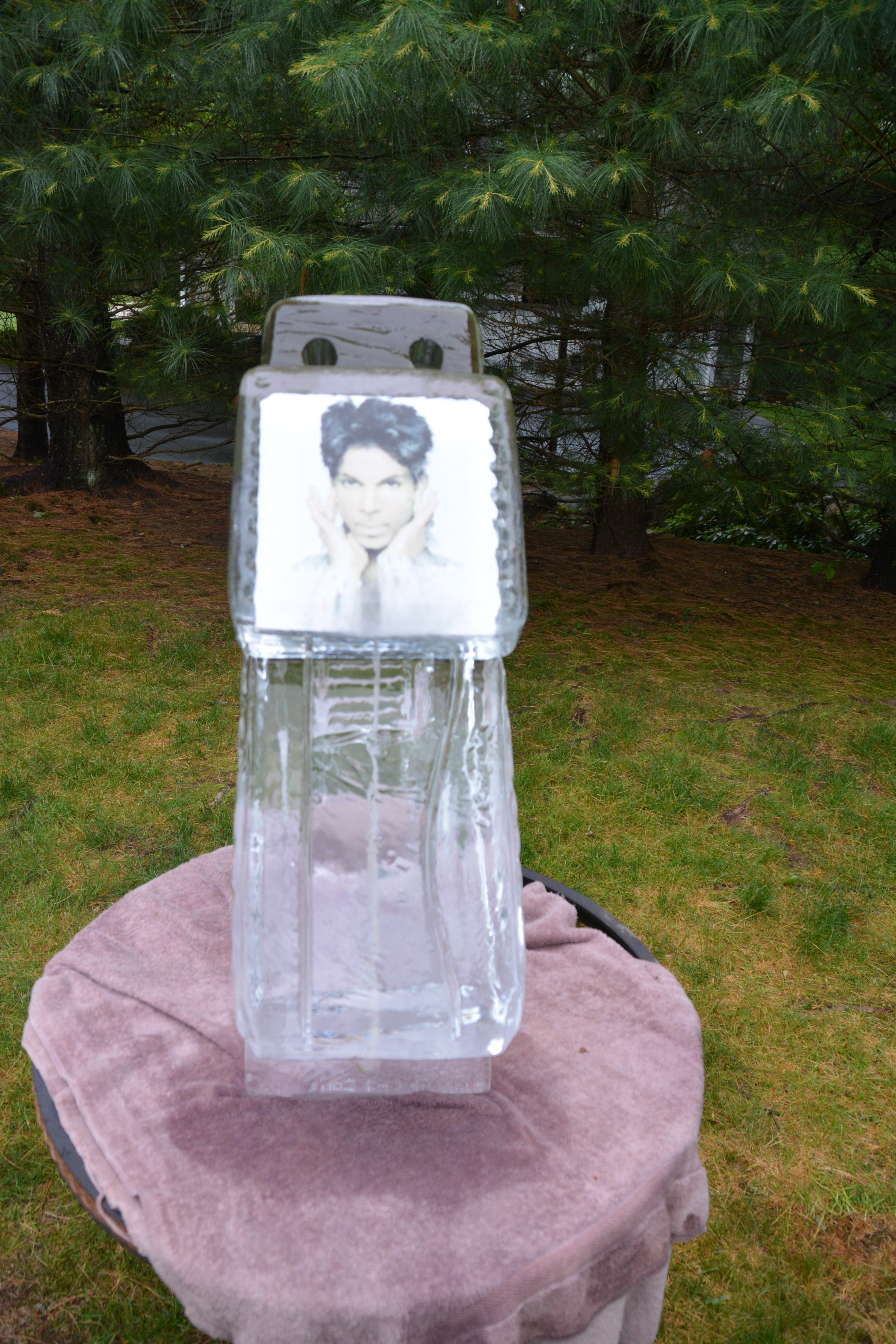 Michael Jackson Ice Luge