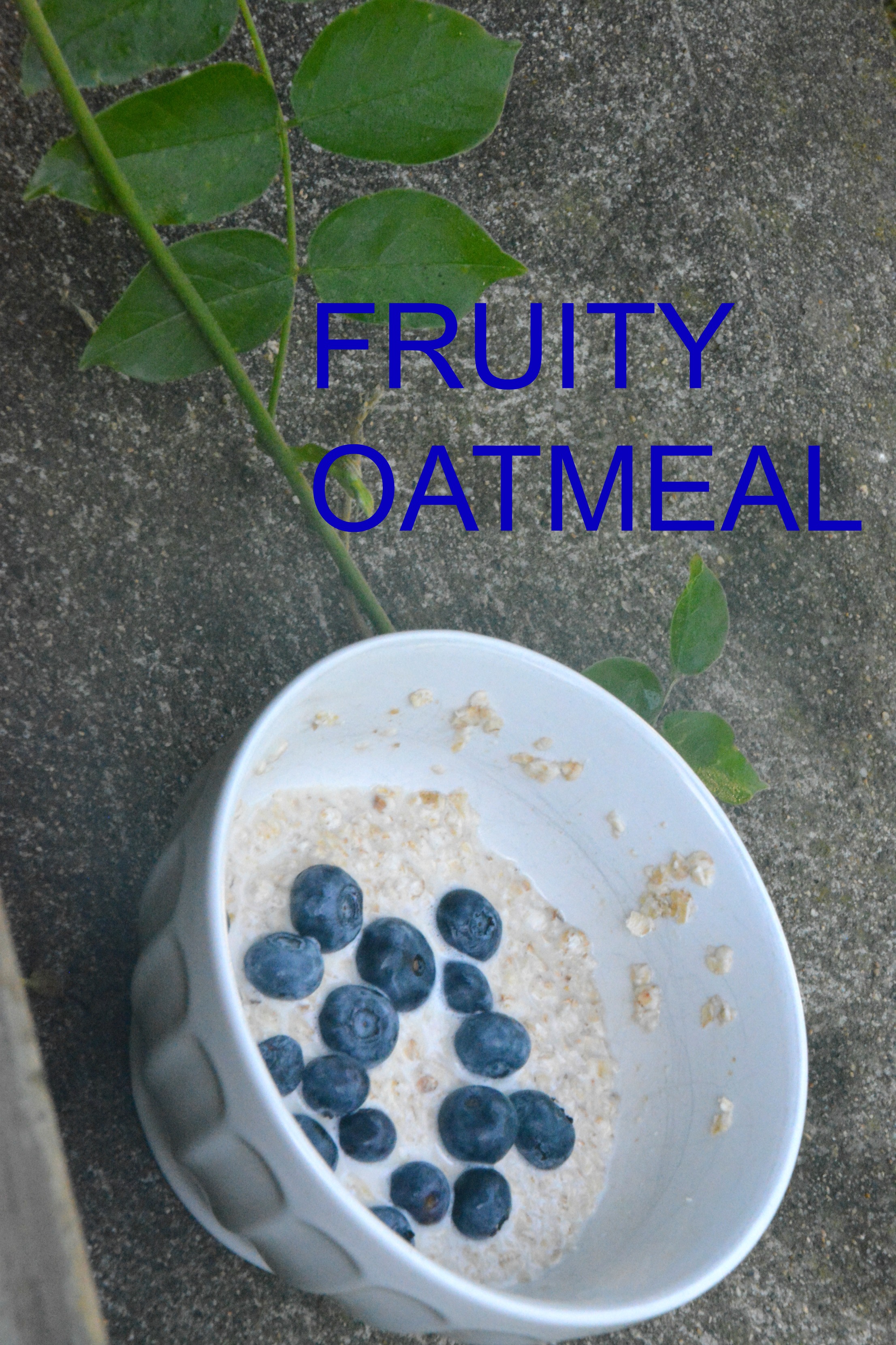 Fruity Oatmeal