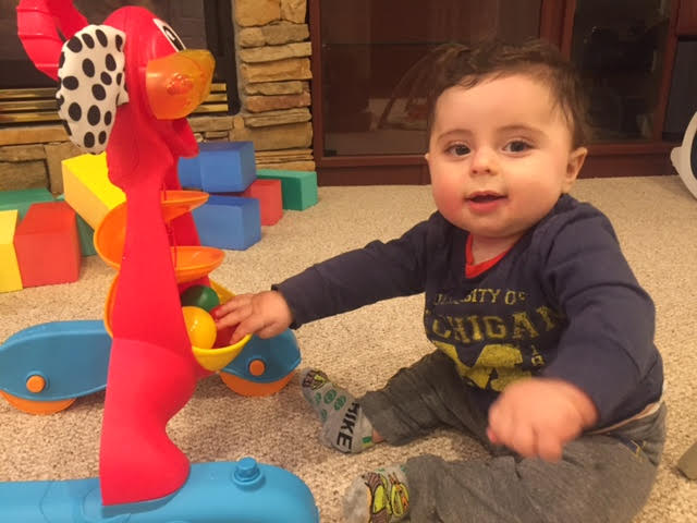 Playgro step by sales step puppy walker