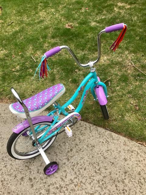 Schwinn bikes