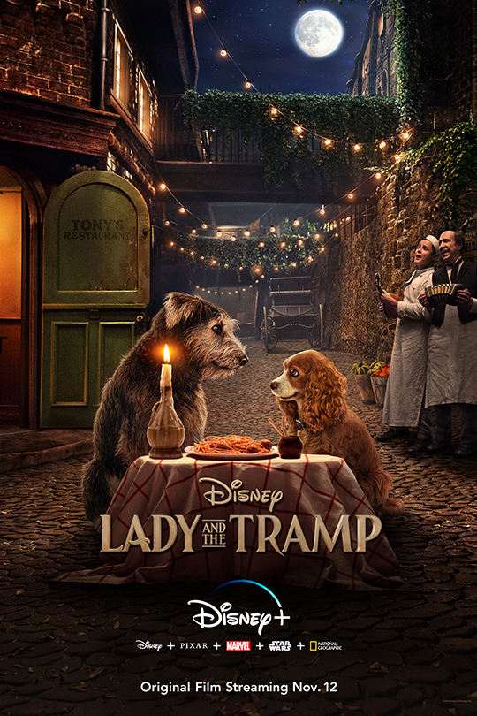 ADY AND THE TRAMP LIVE ACTION MOVIE!