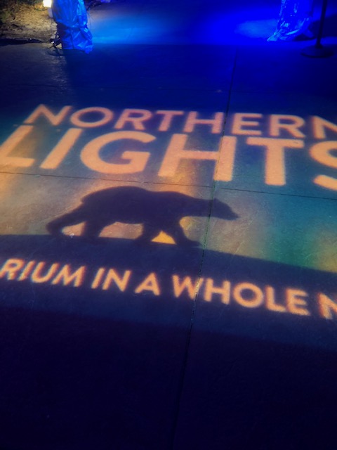 Mystic Aquarium's Northern Lights offers the perfect winter break holiday experience!