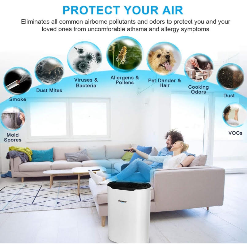 Okaysou Air Purifiers to the Rescue!