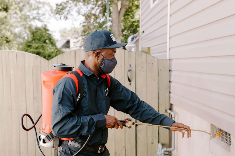 Fox Pest Control Local Pest Control Nationwide! The Mommyhood