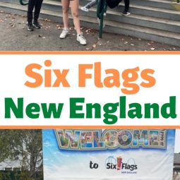 Six Flags New England