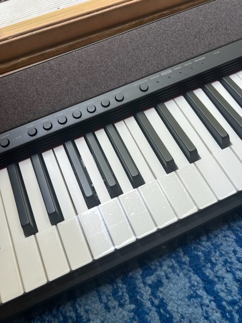 The Casio Keyboards are AMAZING!