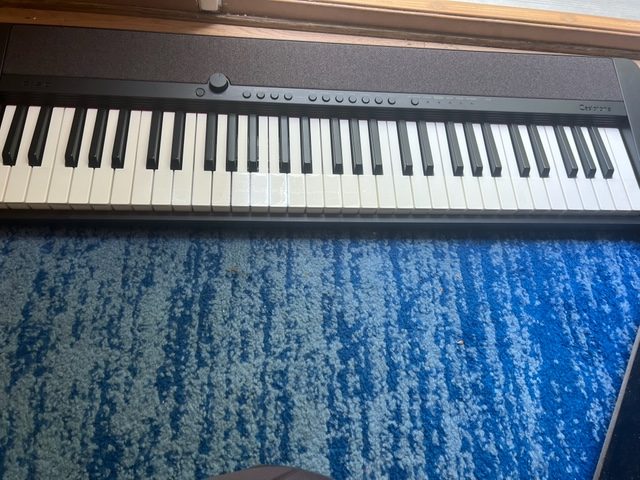 The Casio Keyboards are AMAZING!