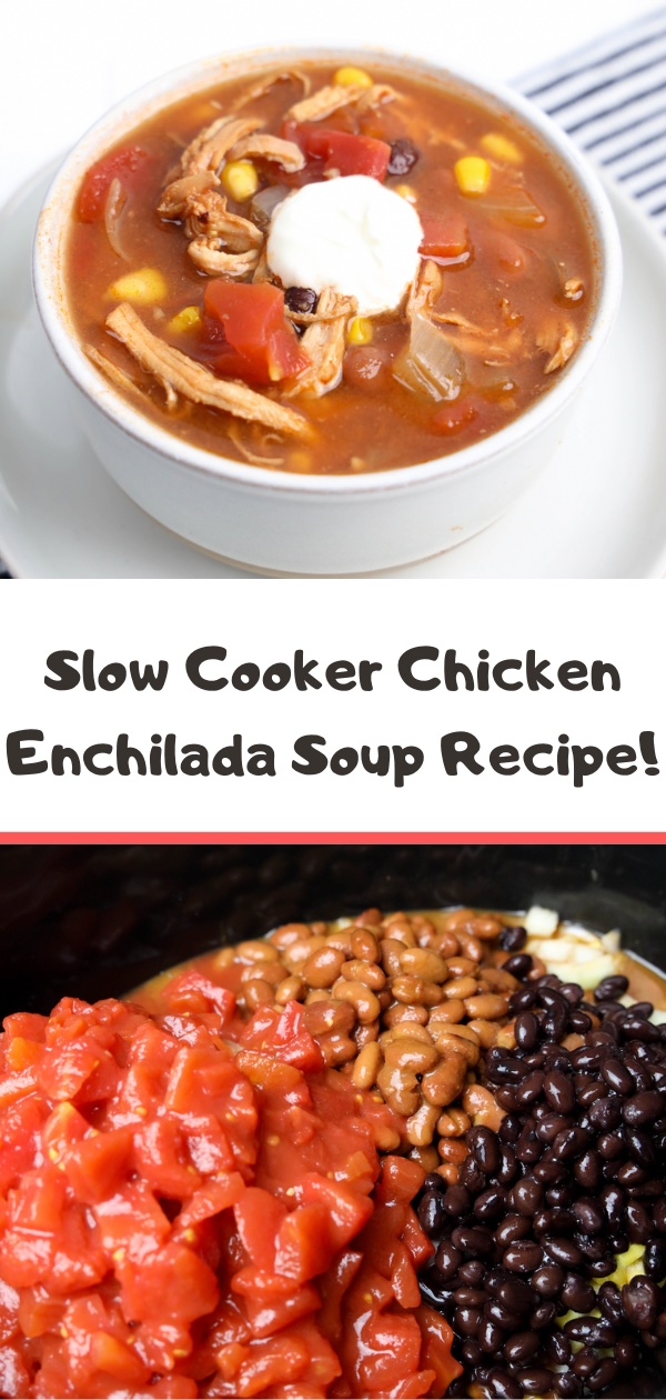 Slow Cooker Chicken Enchilada Soup Recipe!